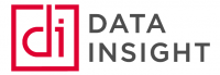 Data Insight Logo
